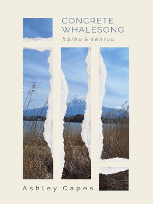 cover image of Concrete Whalesong